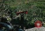 Standbild Nui Ba den Berg Assault Vietnam, 1970, aus Sekunde 24 historischem Filmmaterial Videoclip 65675021008