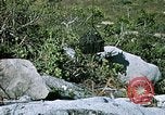 Standbild Nui Ba den Berg Assault Vietnam, 1970, aus Sekunde 56 historischem Filmmaterial Videoclip 65675021008