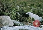 Standbild Nui Ba den Berg Assault Vietnam, 1970, aus Sekunde 59 historischem Filmmaterial Videoclip 65675021008