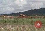 Image of Montagnard tribesmen Camp Enari Vietnam, 1967, second 4 stock footage video 65675021015
