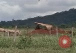 Image of Montagnard tribesmen Camp Enari Vietnam, 1967, second 6 stock footage video 65675021015