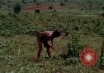 Image of Montagnard tribesmen Camp Enari Vietnam, 1967, second 14 stock footage video 65675021015