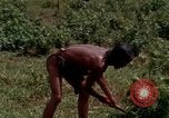 Image of Montagnard tribesmen Camp Enari Vietnam, 1967, second 15 stock footage video 65675021015