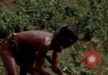 Image of Montagnard tribesmen Camp Enari Vietnam, 1967, second 16 stock footage video 65675021015