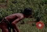 Image of Montagnard tribesmen Camp Enari Vietnam, 1967, second 17 stock footage video 65675021015