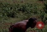Image of Montagnard tribesmen Camp Enari Vietnam, 1967, second 24 stock footage video 65675021015
