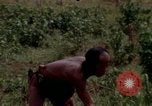 Image of Montagnard tribesmen Camp Enari Vietnam, 1967, second 26 stock footage video 65675021015