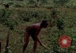 Image of Montagnard tribesmen Camp Enari Vietnam, 1967, second 27 stock footage video 65675021015