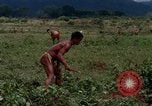 Image of Montagnard tribesmen Camp Enari Vietnam, 1967, second 43 stock footage video 65675021015