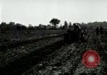 Standbild Herr Henry Ford United States USA, 1917, aus Sekunde 19 historischem Filmmaterial Videoclip 65675021033