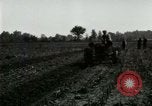 Standbild Herr Henry Ford United States USA, 1917, aus Sekunde 22 historischem Filmmaterial Videoclip 65675021033