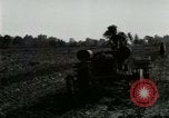 Standbild Herr Henry Ford United States USA, 1917, aus Sekunde 30 historischem Filmmaterial Videoclip 65675021033