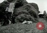 Image of Farming activities United States USA, 1917, second 3 stock footage video 65675021034