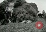 Image of Farming activities United States USA, 1917, second 5 stock footage video 65675021034