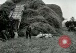 Image of Farming activities United States USA, 1917, second 22 stock footage video 65675021034