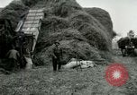 Image of Farming activities United States USA, 1917, second 23 stock footage video 65675021034