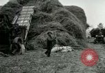 Image of Farming activities United States USA, 1917, second 25 stock footage video 65675021034