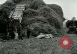 Image of Farming activities United States USA, 1917, second 30 stock footage video 65675021034