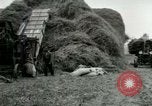 Image of Farming activities United States USA, 1917, second 33 stock footage video 65675021034