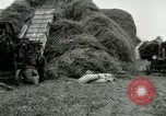 Image of Farming activities United States USA, 1917, second 36 stock footage video 65675021034
