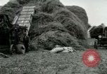 Image of Farming activities United States USA, 1917, second 37 stock footage video 65675021034