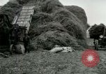 Image of Farming activities United States USA, 1917, second 39 stock footage video 65675021034