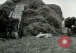 Image of Farming activities United States USA, 1917, second 40 stock footage video 65675021034