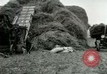 Image of Farming activities United States USA, 1917, second 41 stock footage video 65675021034