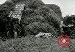 Image of Farming activities United States USA, 1917, second 45 stock footage video 65675021034