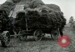 Image of Farming activities United States USA, 1917, second 55 stock footage video 65675021034
