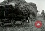 Image of Farming activities United States USA, 1917, second 58 stock footage video 65675021034