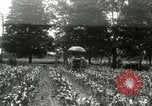 Standbild Fordson Traktor United States USA, 1920, aus Sekunde 3 historischem Filmmaterial Videoclip 65675021045
