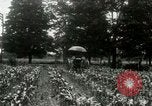 Standbild Fordson Traktor United States USA, 1920, aus Sekunde 4 historischem Filmmaterial Videoclip 65675021045
