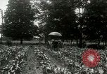 Standbild Fordson Traktor United States USA, 1920, aus Sekunde 5 historischem Filmmaterial Videoclip 65675021045
