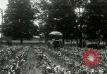 Standbild Fordson Traktor United States USA, 1920, aus Sekunde 6 historischem Filmmaterial Videoclip 65675021045