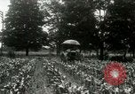 Standbild Fordson Traktor United States USA, 1920, aus Sekunde 7 historischem Filmmaterial Videoclip 65675021045