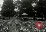 Standbild Fordson Traktor United States USA, 1920, aus Sekunde 8 historischem Filmmaterial Videoclip 65675021045