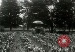 Standbild Fordson Traktor United States USA, 1920, aus Sekunde 11 historischem Filmmaterial Videoclip 65675021045