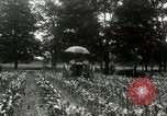 Standbild Fordson Traktor United States USA, 1920, aus Sekunde 12 historischem Filmmaterial Videoclip 65675021045