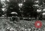 Standbild Fordson Traktor United States USA, 1920, aus Sekunde 14 historischem Filmmaterial Videoclip 65675021045