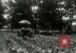 Standbild Fordson Traktor United States USA, 1920, aus Sekunde 15 historischem Filmmaterial Videoclip 65675021045