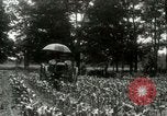 Standbild Fordson Traktor United States USA, 1920, aus Sekunde 16 historischem Filmmaterial Videoclip 65675021045