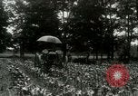 Standbild Fordson Traktor United States USA, 1920, aus Sekunde 17 historischem Filmmaterial Videoclip 65675021045