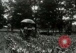 Standbild Fordson Traktor United States USA, 1920, aus Sekunde 18 historischem Filmmaterial Videoclip 65675021045