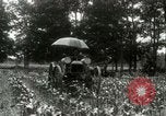 Standbild Fordson Traktor United States USA, 1920, aus Sekunde 21 historischem Filmmaterial Videoclip 65675021045