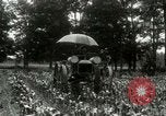 Standbild Fordson Traktor United States USA, 1920, aus Sekunde 23 historischem Filmmaterial Videoclip 65675021045