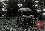 Standbild Fordson Traktor United States USA, 1920, aus Sekunde 26 historischem Filmmaterial Videoclip 65675021045