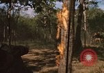 Standbild 11 gepanzerte Kavallerie Kambodscha, 1970, aus Sekunde 46 historischem Filmmaterial Videoclip 65675021061