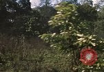 Standbild 11 gepanzerte Kavallerie Kambodscha, 1970, aus Sekunde 60 historischem Filmmaterial Videoclip 65675021061