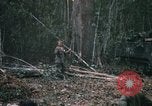 Immagine di Undicesimo Armored reggimento di cavalleria Cambogia, 1970, secondo 12 filmato di repertorio 65675021062